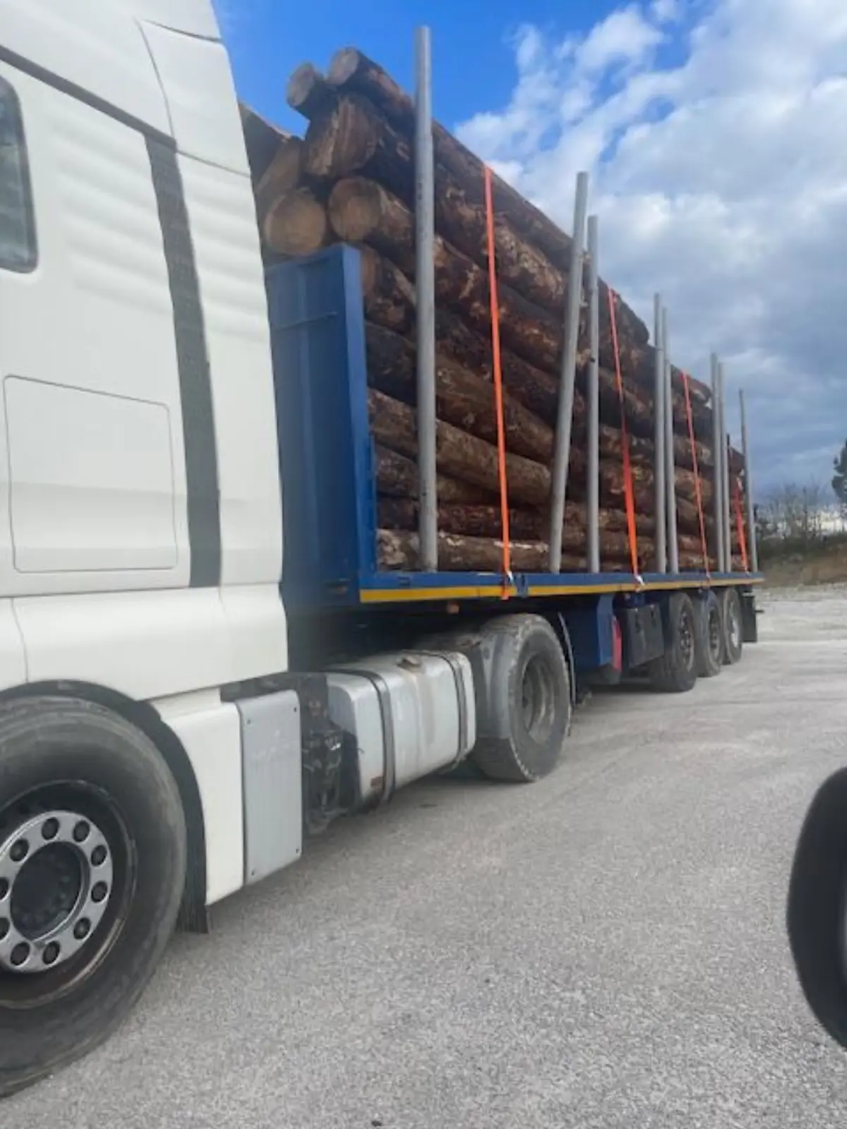 Transporte de madeiras em rolos